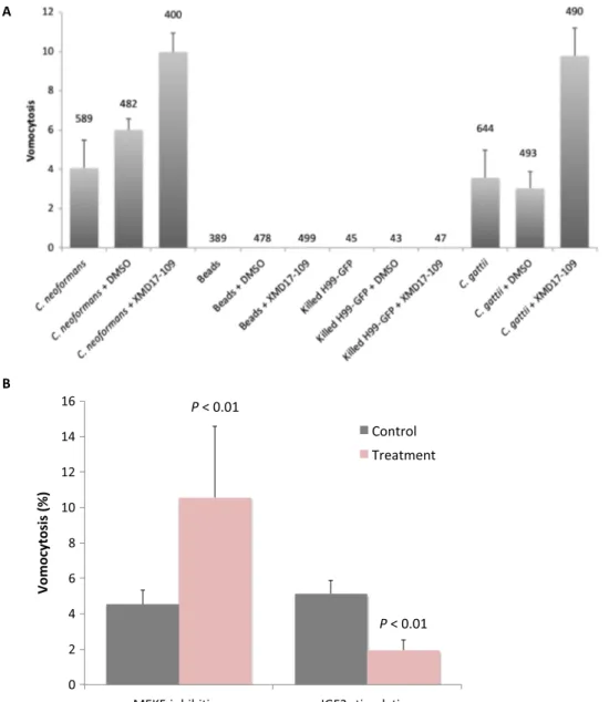 Fig. 2. Modulation of the canonical ERK5 signaling pathway alters vomocytosis rate but does not induce expulsion of inert phagosomal cargo