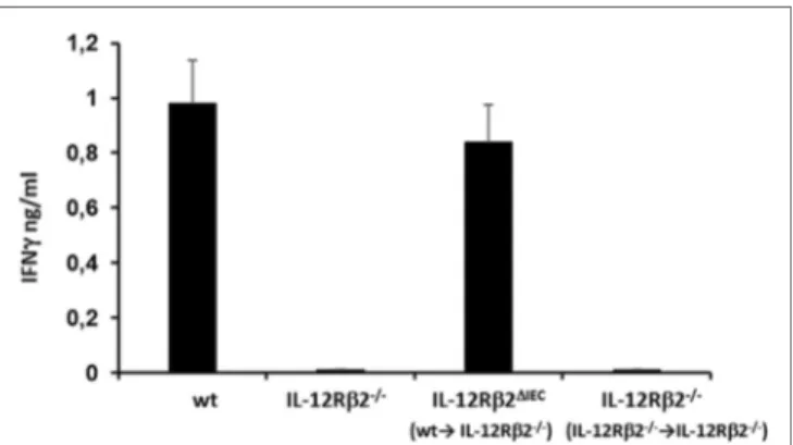 FigUre 4 | Bone marrow (BM) transplant restored in vivo IL-12-mediated  production of IFN γ in IL-12Rβ2 −/−  mice
