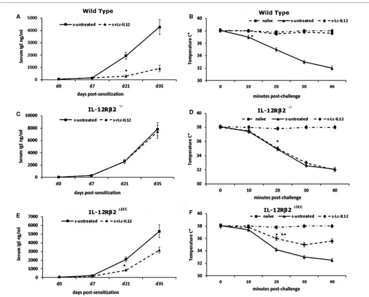 FigUre 5 | Effects of oral delivery of rLc-IL12 on IgE levels and body temperature in sensitized wild-type (wt) and chimeric mice