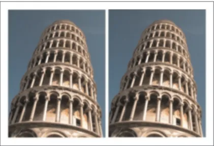Figure 1. The leaning tower illusion.