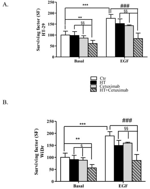 Figure 2: Combination of low concentrations of HT and cetuximab reduces colony formation of colorectal cancer cells.