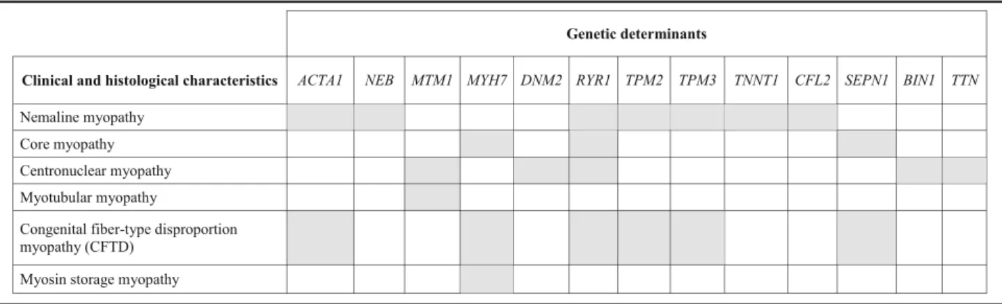 Table 2 Genetic heterogeneity in congenital myopathies