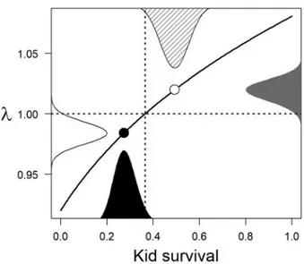 Figure 5. Relative likelihood distributions for survival rates of kids (black: Site A; diagonal lines: Site B) and population growth rates (k, white: Site A; grey: Site B) of Apennine chamois in Site A (red deer present) and in Site B (red deer absent)