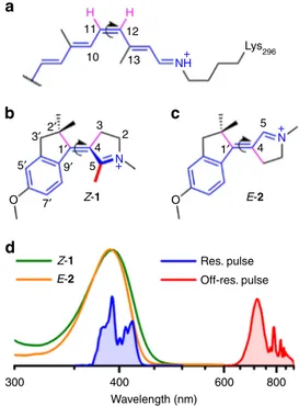 Fig. 1 Structure and absorption spectra of the NAIP compounds. a The 11- cis PSBR chromophore of Rh (the curly arrow indicate the 11- cis to all-trans photoisomerization reaction) inspired the chemical design of (b)  MeO-NAIP 1 and (c) “C5-demethylated” dM