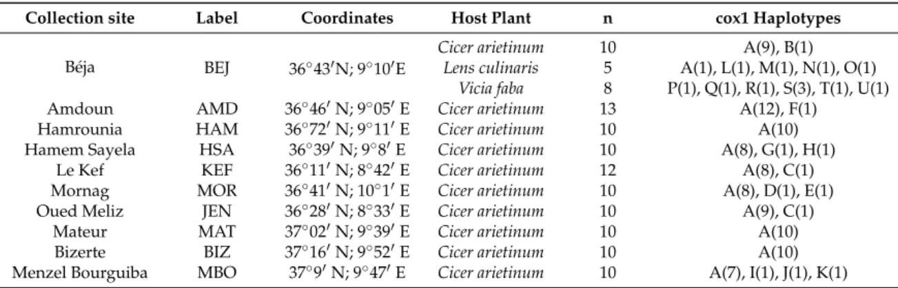 Table 1. List of the Tunisian sampling sites, with respective labels and geographic coordinates; Béja, Amdoun, Hamrounia and Hamem Sayela are sites of the Béja Region; for each area the host plant, the number of specimens analyzed are listed, as well as th