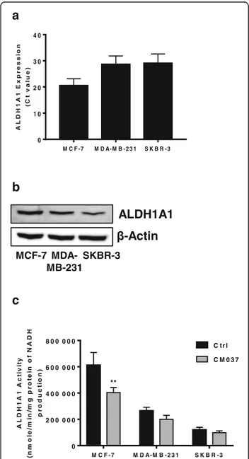 Fig. 1 Expression and activity of ALDH1A1 in breast cancer cells. a RT- RT-PCR analysis of ALDH1A1 in breast cancer cells grown with 10% FBS