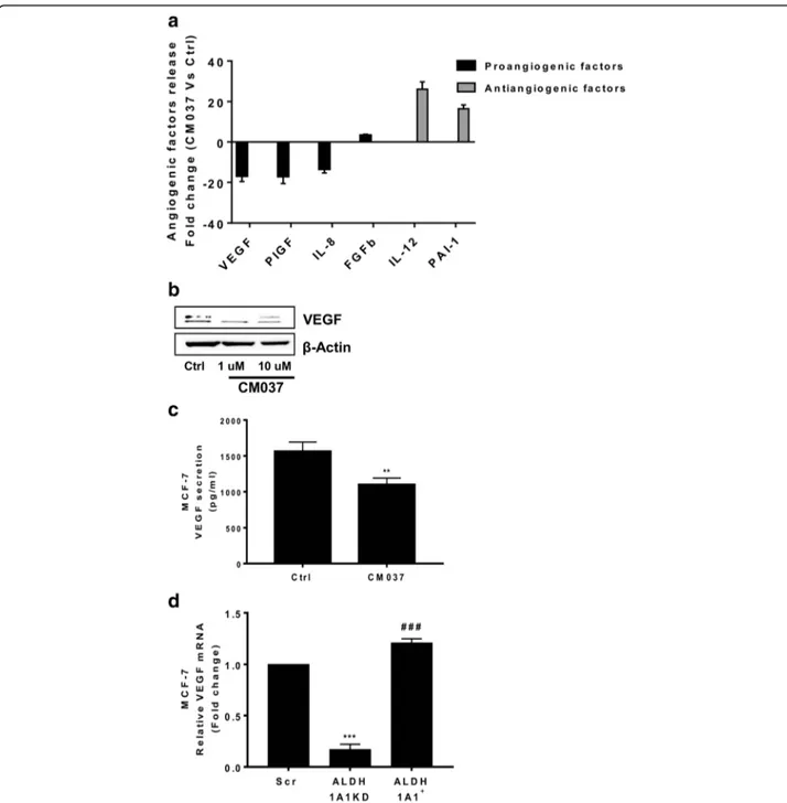 Fig. 3 MCF-7 ALDH1A1 regulates angiogenic factor output via retinoic acid signalling. a Angiogenic factor release evaluated by ELISA plate array in supernatants of MCF-7 treated with CM037 (1 μM) for 48 h