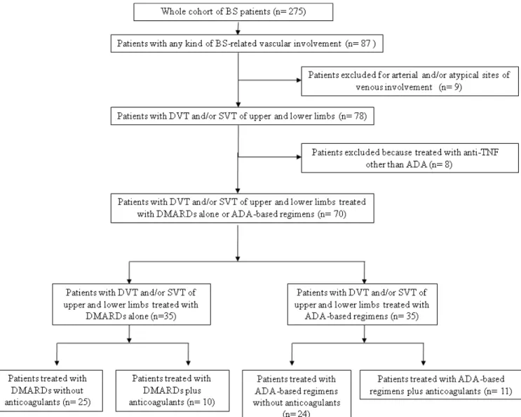 Figure 1. Study flow diagram. BS = Behcßet’s syndrome; DVT = deep vein thrombosis; SVT = superficial vein thrombophlebitis; anti-TNF = anti– tumor necrosis factor; ADA = adalimumab; DMARDs = disease-modifying antirheumatic drugs.