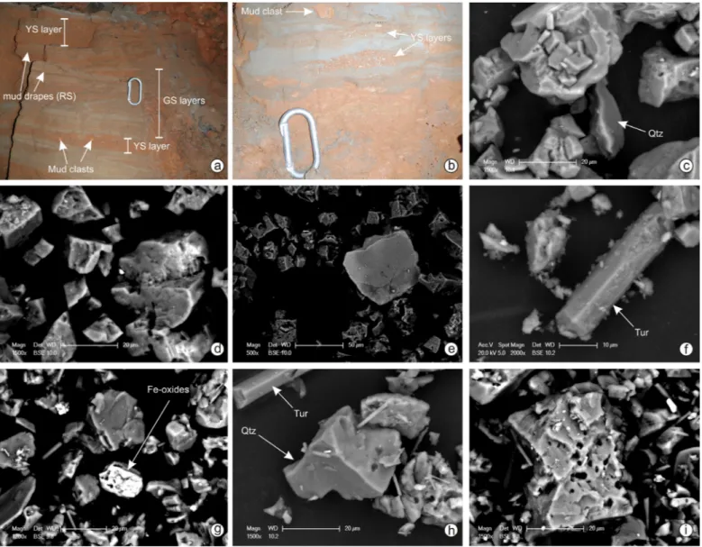 Fig. 8. (a-b) Alternation of GS beds (blue-grey in colour) with YS and RS layers. Note the mud clasts that locally occur