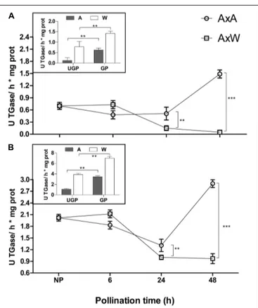 FIGURE 1 | Transglutaminase activity was tested in NP, AxA and AxW styles of Pyrus communis on both N, N 0