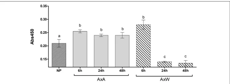 FIGURE 2 | Transglutaminase relative quantification, expressed as absorbance units (Abs 450 nm) in NP, AxA and AxW styles of Pyrus communis