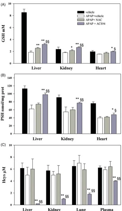 Figure 7. Protection against acetaminophen toxicity. Three out of four groups of rats were treated ip with 2 g/kg acetaminophen (APAP)