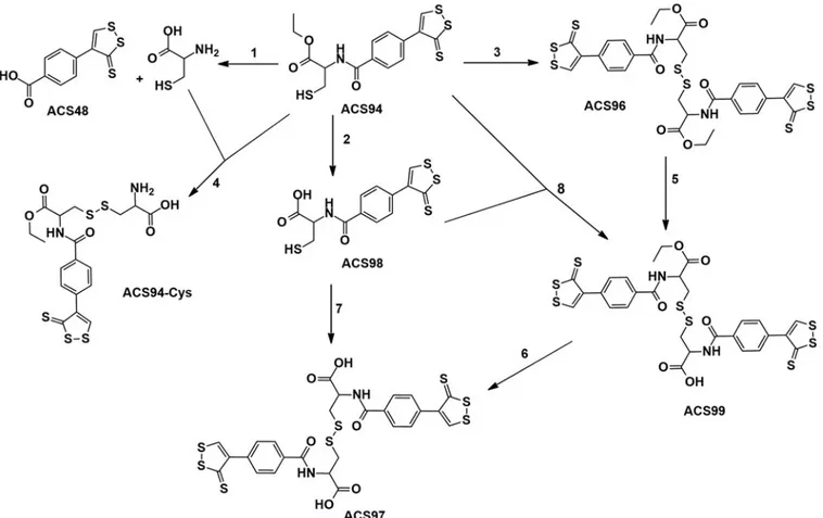 Figure 2. Scheme of the metabolic pathway of ACS94 leading to thiols (Cys and ACS98), symmetrical disulphides (ACS96, ACS97), asymmetrical disulphides (ACS94-Cys and ACS99).