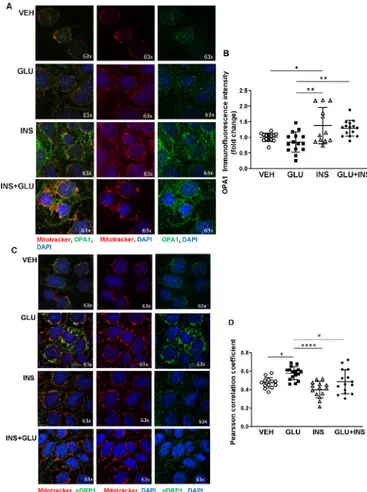 Figure 5  Analysis of placental ceramide metabolism  in gestational diabetes and control pregnancies