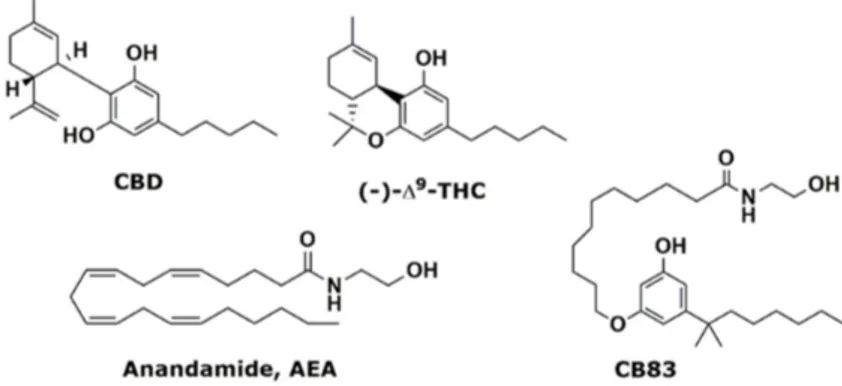 Figure 1. Phytocannabinoids cannabidiol (CBD), ∆9-tetrahydrocannabinol (∆ 9 -THC), endogenous anandamide (AEA), and synthetic cannabinoid CB83.