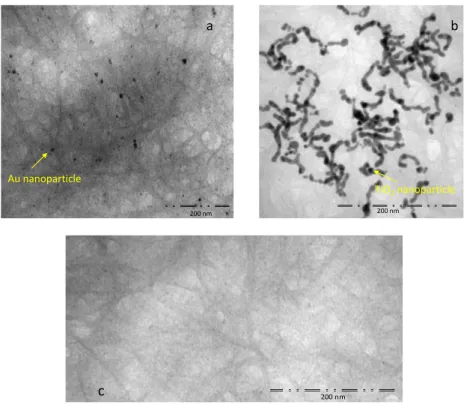 Figure 4. High-resolution Transmission Electron Microscopy (TEM) images of the decorated samples: (a) SWCNT-Au nanoparticles, Scale bar = 200 nm; (b) SWCNT-TiO 2 nanoparticles, Scale bar = 200 nm;