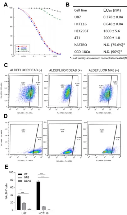Figure 5. ALDH1A3 inhibitor NR6 determines cell death in ALDH1A3-overexpressing cells, reducing ALDEFLUOR positivity