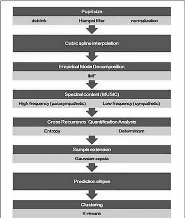 FIGURE 1 | The flow chart presents the major procedures adopted for the analysis of the pupil size oscillation, from the data pre-treatment (deblink and artifact removal) and normalization, to the final drawing of the prediction ellipse