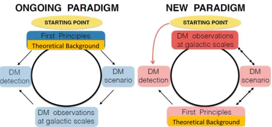 Figure 5. The current and the new Paradigms. Notice the different role of the galactic DM-related observations.