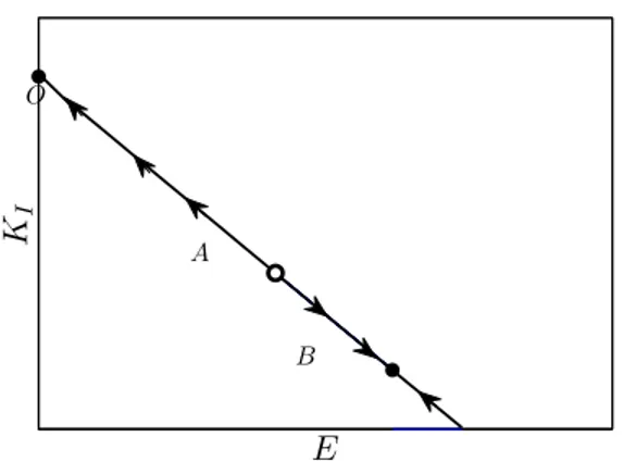 Figure 3. Dynamics in plane ( E, KI ) corresponding to bistable regime illustrated in Figure 1 b