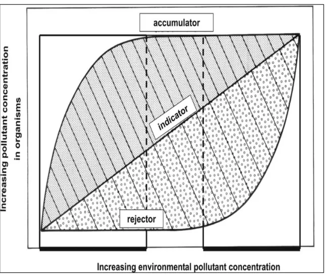 Figure 5: Differing uptake activities in living organisms as a function of the substrate concentration [68, 69]