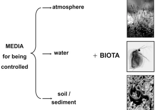 Figure  4.  Environmental  media  and  their  bioindication  using  various  living  organisms  (e.g