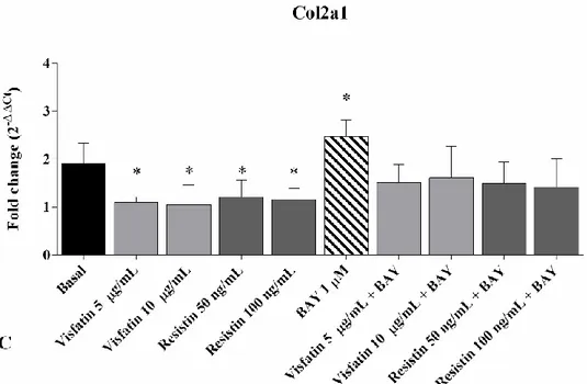 Figure 6. Expression levels of MMP-1 (A), MMP-13 (B), and Col2a1  (C)  by real-time PCR in human  OA chondrocytes