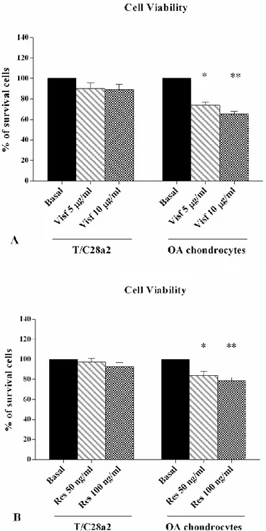 Figure  1.  Evaluation  of  cell  viability  by  MTT  assay  in  the  T/C-28a2  cell  line  and  in  human  OA  chondrocytes