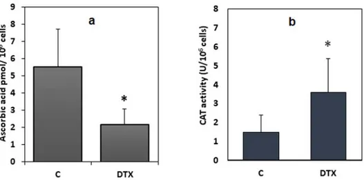 Figure 7. Levels of ascorbic acid, and catalase activity in DTX-treated (1.25 nM, 6 h) and control cells