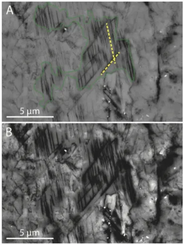 graphic orientation in individual FIB cuts, indicating each lamella and probably the whole particle was a single quartz crystal of the parent rock ( Supplementary material Fig