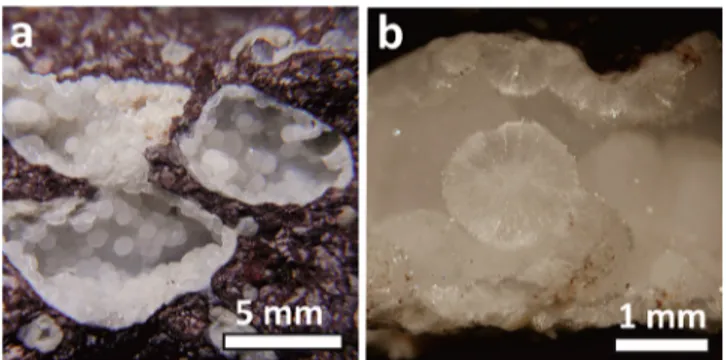 Figure 1. Typical occurrences of cowlesite in Montresta, Sardinia. (a) Geodes in basalts hosting cowlesite milky spherulitic aggregates