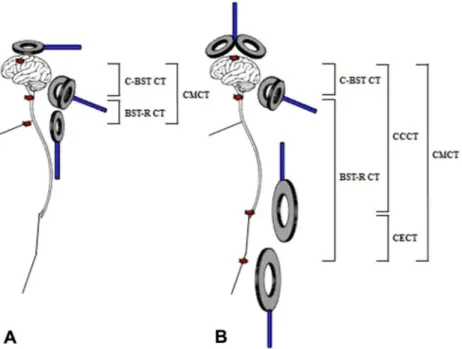 Fig. 9. Central motor conduction studies using magnetic stimulation in humans. (A) CMCT for upper limbs, (B) CMCT for lower limbs