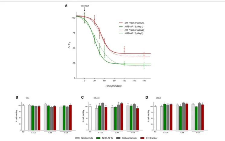 FIGURE 11 | (A) LX2 cells were incubated for 30 min with NRB-AF12 or ER-Tr green; after replacing the staining solution with probe-free medium, evaluation of NRB-AF12 and ER-Tr extent of fluorescent signal and photostability was performed