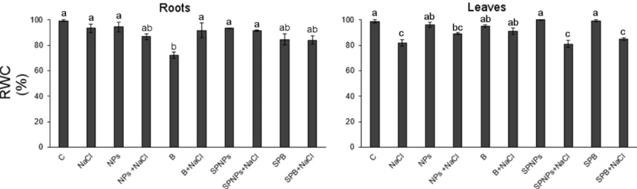 Figure 6. Relative water content (RWC) of roots and leaves of T. turgidum L. ssp. durum cv