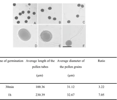 Fig. 2    Pollen tube soluble proteome after BFA treatment. a 2-DE of  Nicotiana tabacum pollen tubes after BFA treatment and related  con-trol