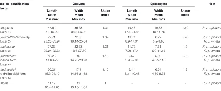 TABLE 1 | Morphological data of Eimeria oocysts and sporocysts isolated from Italian chamois (Rupicapra spp.)