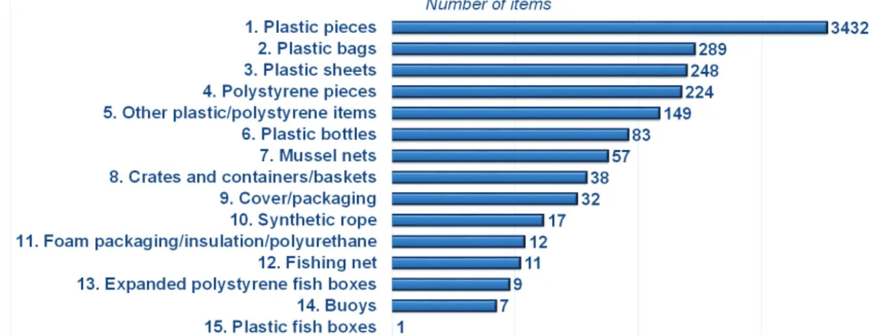 Fig. 3: Number of litter items observed for each individual category of Synthetic Polymer Material identified in all transects of the 