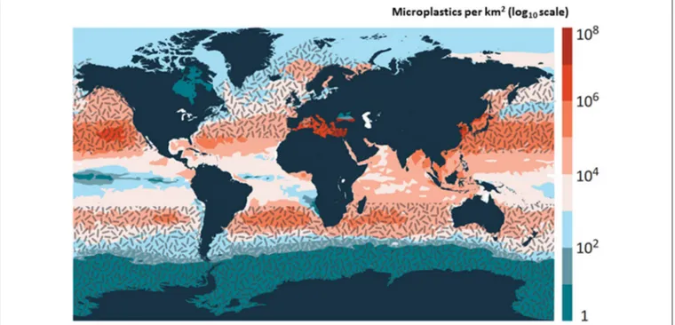 FIGURE 1 | Key buoyant microplastic (microplastic items per km 2 log10 scale) overlap with habitat range of fin whales