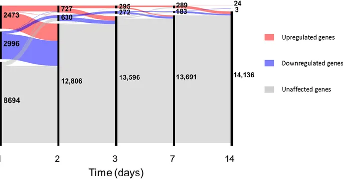 Figure 2. Number of differentially expressed genes up to day 14. In the alluvial plot, each vertical line represents a time  point,  the  line  is  broken  in  sections  proportional  to  the  number  of  upregulated  (red),  downregulated  (blue)  and   u