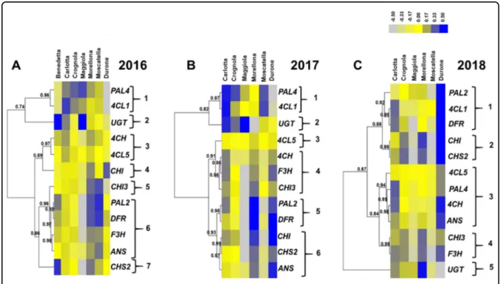 Fig. 3 Heatmap hierarchical clustering of the PPP-related gene expression data across the 3 years of study (A, 2016; B, 2017; C, 2018)