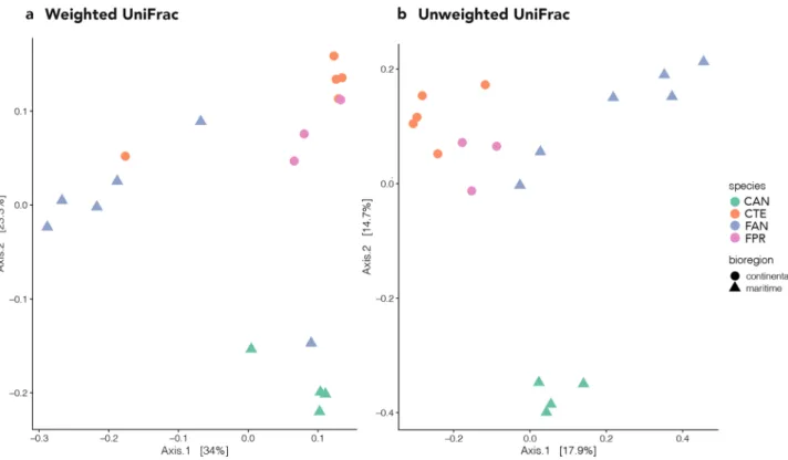 Figure 3.  Principal coordinate analysis (PCoA) showing: (a) the weighted UniFrac, and (b) the unweighted  UniFrac distances between the four samples analysed