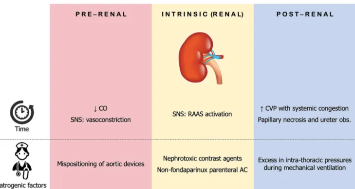 Fig. 3 Clinical phenotypes of cardiogenic shock. Two additional types of cardiogenic shock have been described over the classic “wet and cold” phenotype