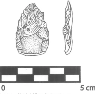 Fig. 10 Blades from Mota Cave