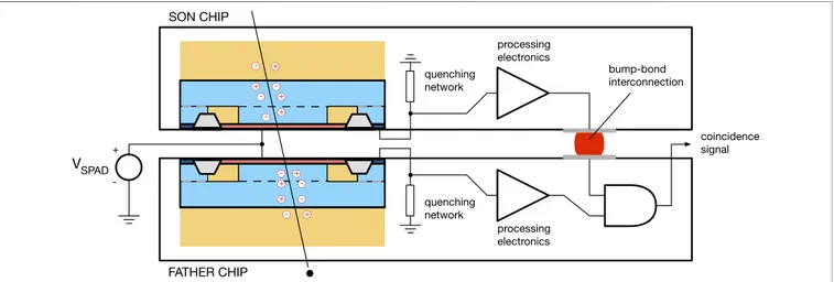 FIGURE 2 | Schematic representation of a dual-tier cell with quenching, processing and coincidence circuits