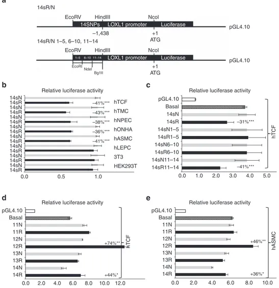 Figure 5 | Effects of risk variants on LOXL1 promoter transcriptional activity in vitro