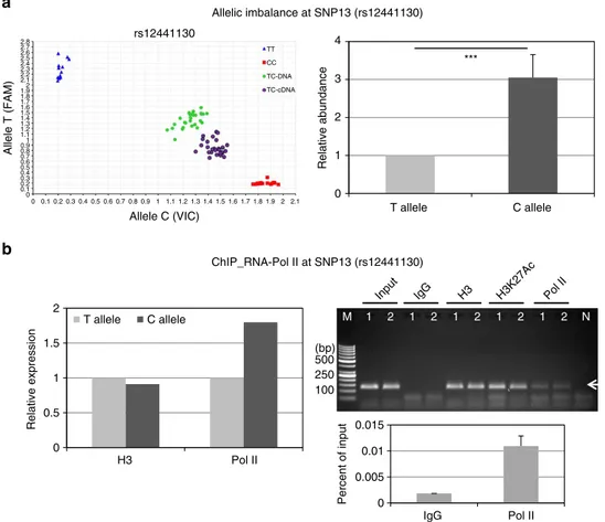 Figure 6 | Effects of risk variants on LOXL1 transcriptional activity in vivo. (a) Scatter plot of TaqMan-based allelic discrimination of the LOXL1 SNP 13 (rs12441130)