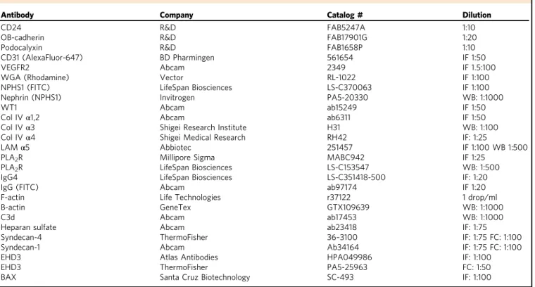 Table 1 List of antibodies and assay-speci ﬁc concentrations