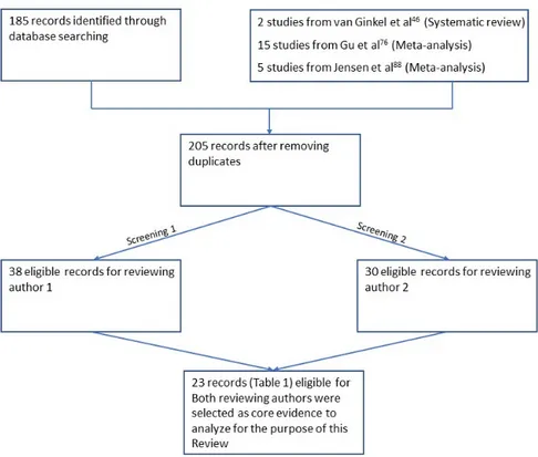Figure 1. The flow diagram describes the strategy employed for literature research and screening.