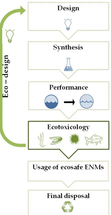 Figure 1. A schematic representation of the eco-design approach (see text for details)