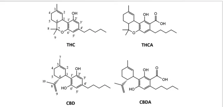 FIGURE 2 | Chemical structures of the cannabinoids isolated from C. sativa scCO 2 extract